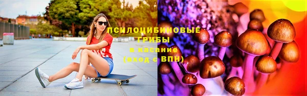 стаф Инсар