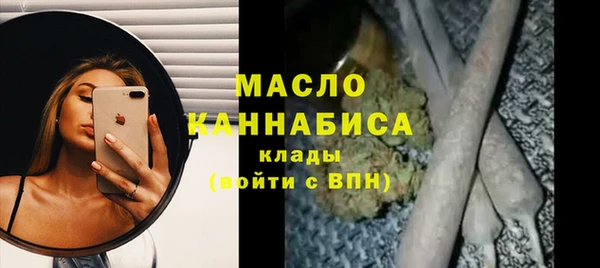ешки Инта