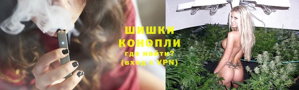 стаф Инсар