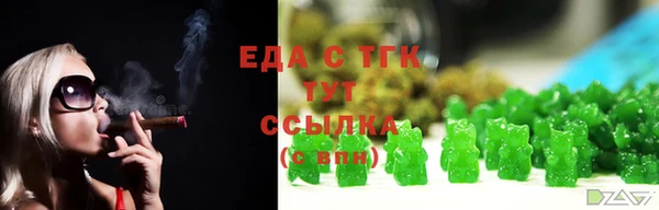ешки Инта