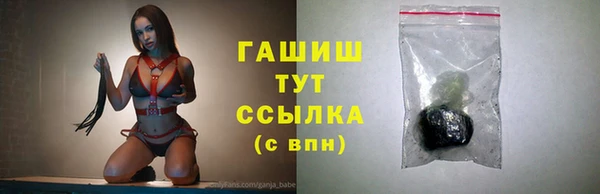 стаф Инсар
