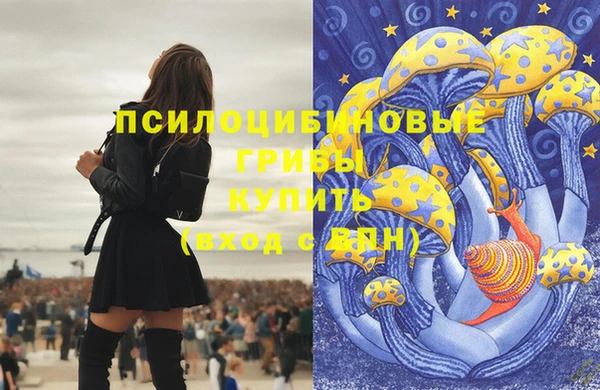 a pvp Иннополис