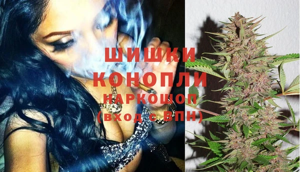 ешки Инта