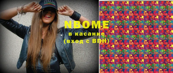 ешки Инта