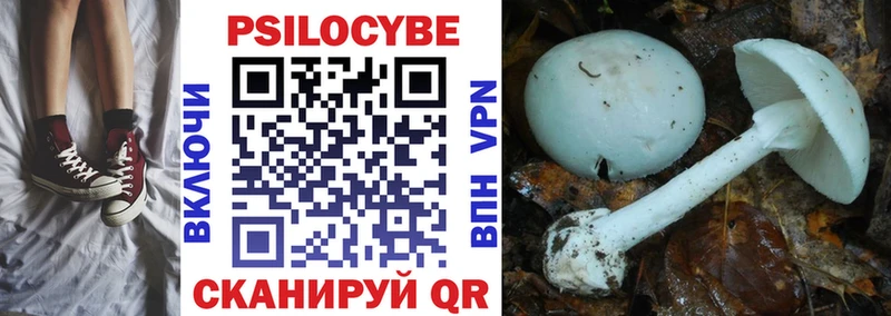 Купить  Великие Луки  Псилоцибиновые грибы мицелий 